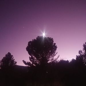 Meet your Posher, Maryn